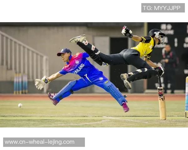 济南市多校联动敞开学校板球联赛